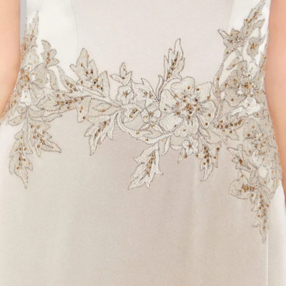 Cameron Blake Lace Appliqued V-Neck Sheath Dress 10 Champagne - Picture 11 of 14